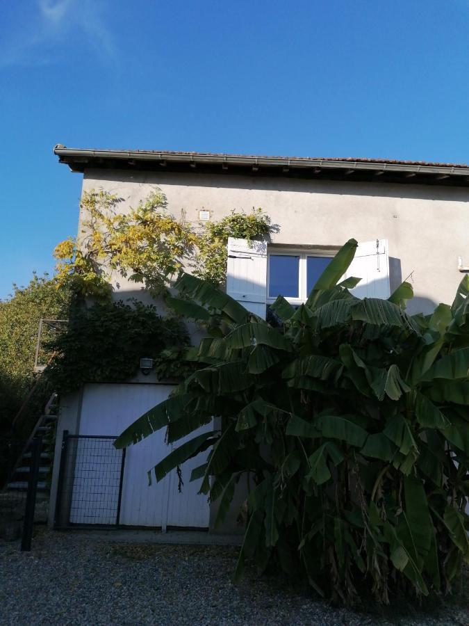 Le Grenier De Gaston Apartment Thouars-sur-Garonne Екстериор снимка